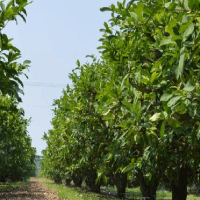 瑞成數(shù)控灰斗車(chē)液壓機(jī)：建筑工地的創(chuàng)新力量